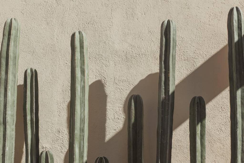Cien Palmas- Authentic Mexican Casita 3 -Downtown Todos Santos Extérieur photo